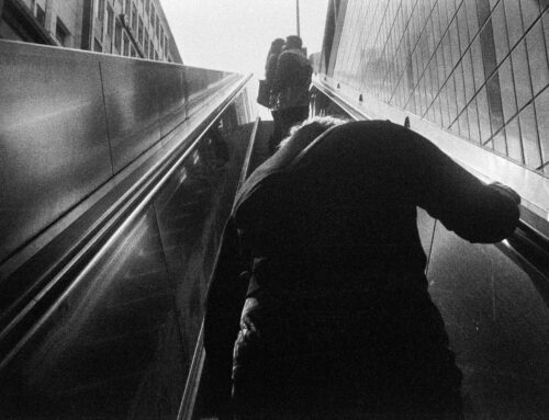 analog.talk – am Dienstag