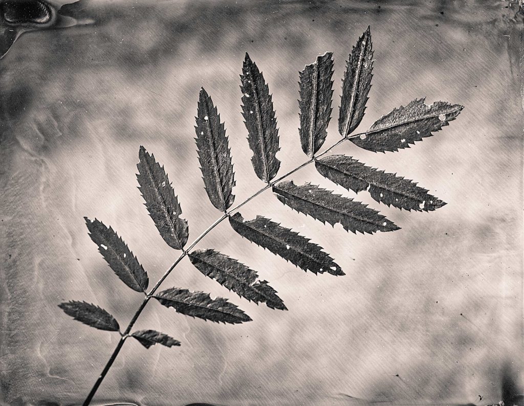 Sascha Hirschner is a photographer, located in Palatinate, Germany and available for jobs worldwide