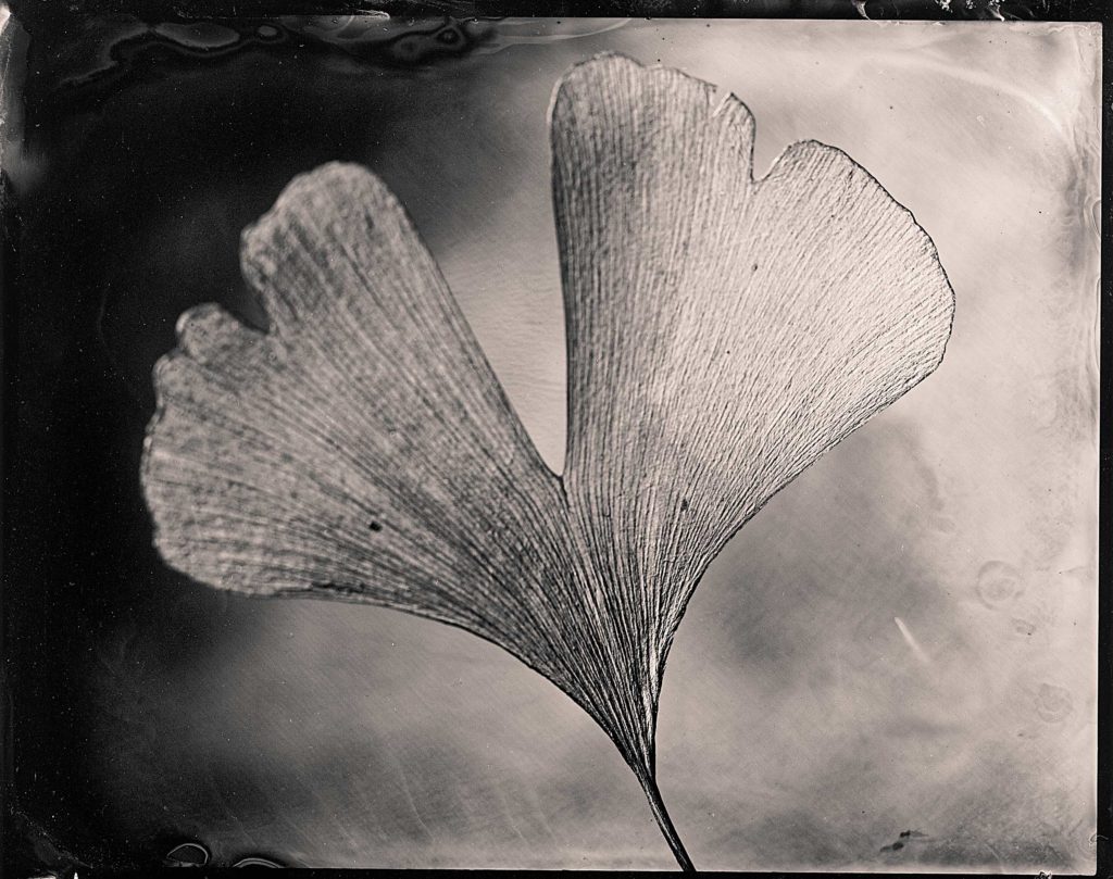 Sascha Hirschner is a photographer, located in Palatinate, Germany and available for jobs worldwide