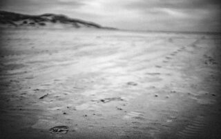 Fotoreise Baltrum Frühjahr