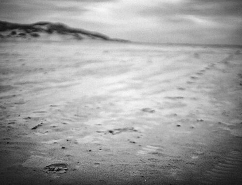 Fotoreise: Baltrum „Erwachen“ – Frühjahr 2026