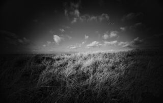 Fotoreise Baltrum Herbst